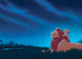 Disney The Lion King Stargazing Fotobehang DX7 197 | Yourdecoration.nl
