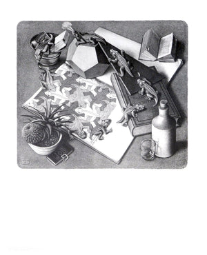 M. C. Escher  Reptilien Kunstdruk 55x65cm | Yourdecoration.nl