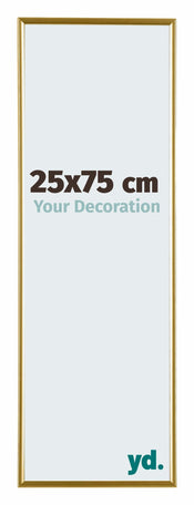 Evry Kunststof Fotolijst 25x75cm Goud Voorzijde Maat | Yourdecoration.nl