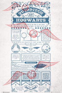 Gbeye Harry Potter Quidditch At Hogwarts Poster 61X91 5cm | Yourdecoration.nl