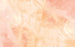 Fotobehang Candy Peach 400x250cm FLX8 001 | Yourdecoration.nl