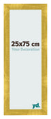 Fotolijst 25x75cm Goud Vintage MDF Pisa Voorzijde Maat | Yourdecoration.nl