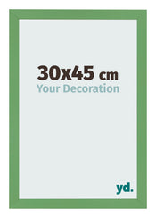 Fotolijst 30x45 cm Groen MDF Bologna Voorzijde Maat | Yourdecoration.nl