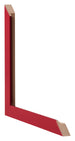 Fotolijst 50x75cm Rood MDF Bologna Detail Doorsnede | Yourdecoration.nl