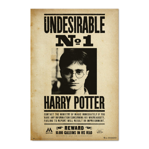 Grupo Erik Gpe5607 Poster Harry Potter Undesirable N1 | Yourdecoration.nl