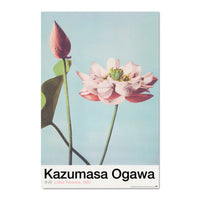Grupo Erik Gpe5630 Poster Lotus Flowers By K Ogawa | Yourdecoration.nl