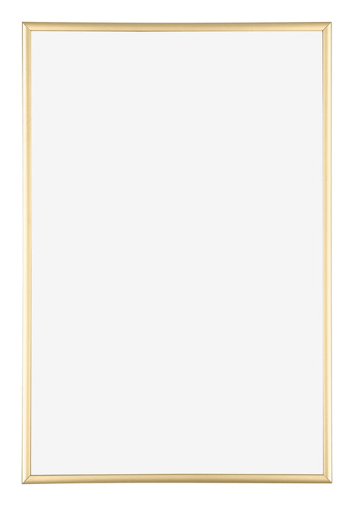 Kent Aluminium Fotolijst 50x75cm Goud Voorzijde | Yourdecoration.nl