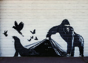 Kunstdruk Banksy - Gorilla London Zoo 70x50cm