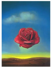 Kunstdruk Salvador Dali Rose Meditative 60x80cm SD 883 | Yourdecoration.nl