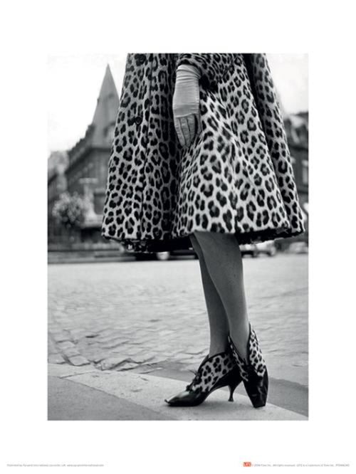 Kunstdruk Time Life Dior Leopard print 30x40cm Pyramid PPR44240 | Yourdecoration.nl