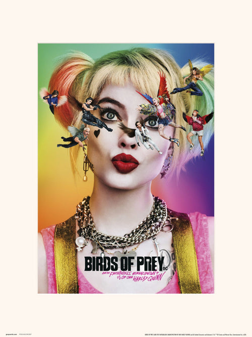 Grupo Erik Birds Of Prey Dazed And Confused Kunstdruk 30X40cm | Yourdecoration.nl