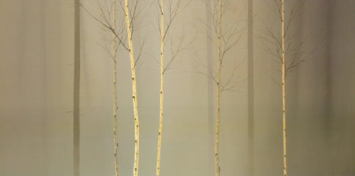 PGM MGD 212 Ged Mitchell Winterlely Wood Kunstdruk 100x50cm | Yourdecoration.nl