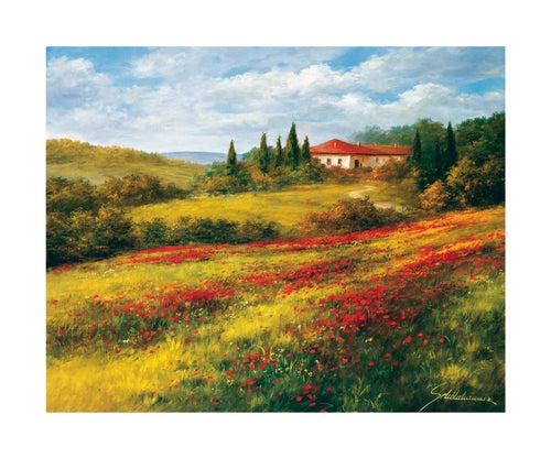 PGM SRH 05 Heinz Scholnhammer Landschaft mit Mohn I Kunstdruk 60x50cm | Yourdecoration.nl