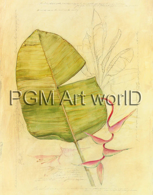 PGM TNA 52 Avery Tillmon Botanical Journal I Kunstdruk 56x71cm | Yourdecoration.nl