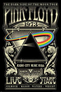 Pyramid PP35021 Pink Floyd 1973 Poster | Yourdecoration.nl