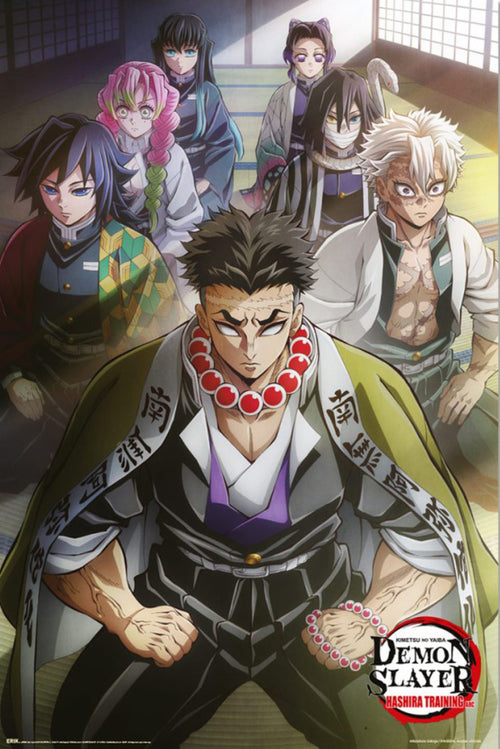 Poster Demon Slayer Hashira Training 1 61x91 5cm GPE6072 | Yourdecoration.nl