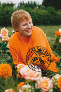 Poster Ed Sheeran Rose Field 61x91 5cm Abystyle GBYDCO396 | Yourdecoration.nl
