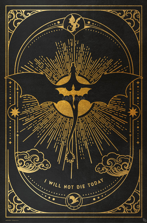 Poster Fourth Wing Relic 61x91 5cm GBYDCOA052 | Yourdecoration.nl