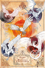 Poster Harry Potter Magical Creatures 61x91 5cm GBYDCOA031 | Yourdecoration.nl