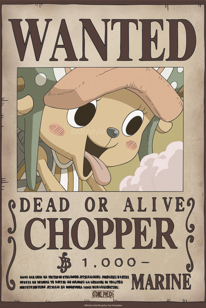 Poster-One-Piece-Wanted-