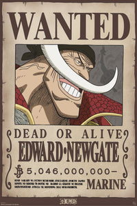 Poster One Piece Wanted Whitebeard 61x91 5cm GBYDCO596 | Yourdecoration.nl