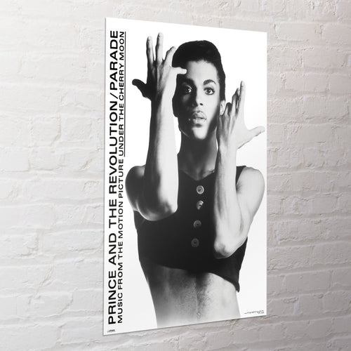 Poster Prince 61x91 5cm WPSX056 Sfeer | Yourdecoration.nl