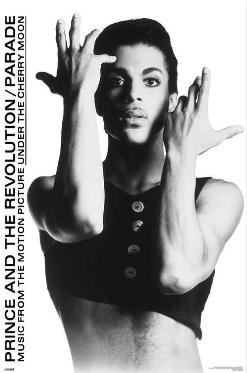 Poster Prince 61x91 5cm WPSX056 | Yourdecoration.nl