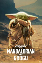 Poster Star Wars The Mandalorian And Grogu Grogu 61x91 5cm GPE6056 | Yourdecoration.nl