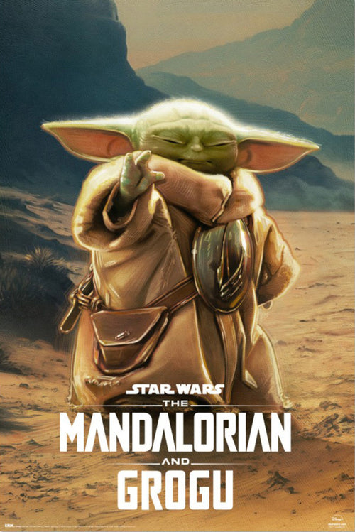 Poster Star Wars The Mandalorian And Grogu Grogu 61x91 5cm GPE6056 | Yourdecoration.nl