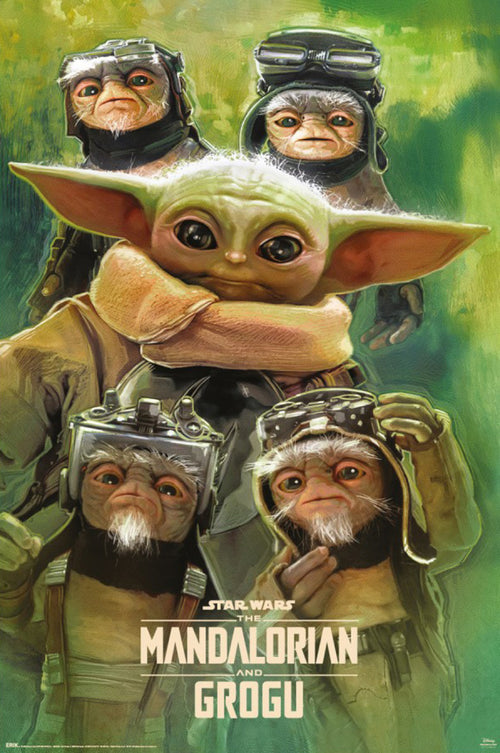 Poster Star Wars The Mandalorian And Grogu Grogu Anzellans 61x91 5cm GPE6055 | Yourdecoration.nl