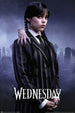Poster Wednesday Season 2 1 61x91 5cm GPE6004 | Yourdecoration.nl