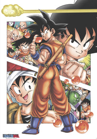 Dragon Ball Db Son Goku Story Poster 61X91 5cm | Yourdecoration.nl
