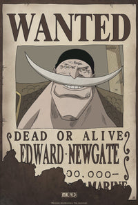 One Piece Wanted Edward Newgate Poster 35X52cm | Yourdecoration.nl