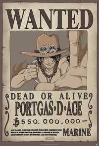 One Piece Wanted Ace Poster 61X91 5cm | Yourdecoration.nl