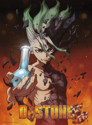 Dr Stone Senku Poster 38X52cm | Yourdecoration.nl