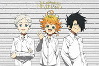 Abystyle ABYDCO844 The Promised Neverland Emma Poster 91-5x61cm | Yourdecoration.nl