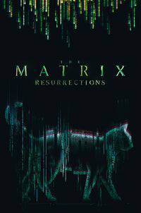 Abystyle Abydco864 The Matrix Cat Poster 61x91,5cm | Yourdecoration.nl