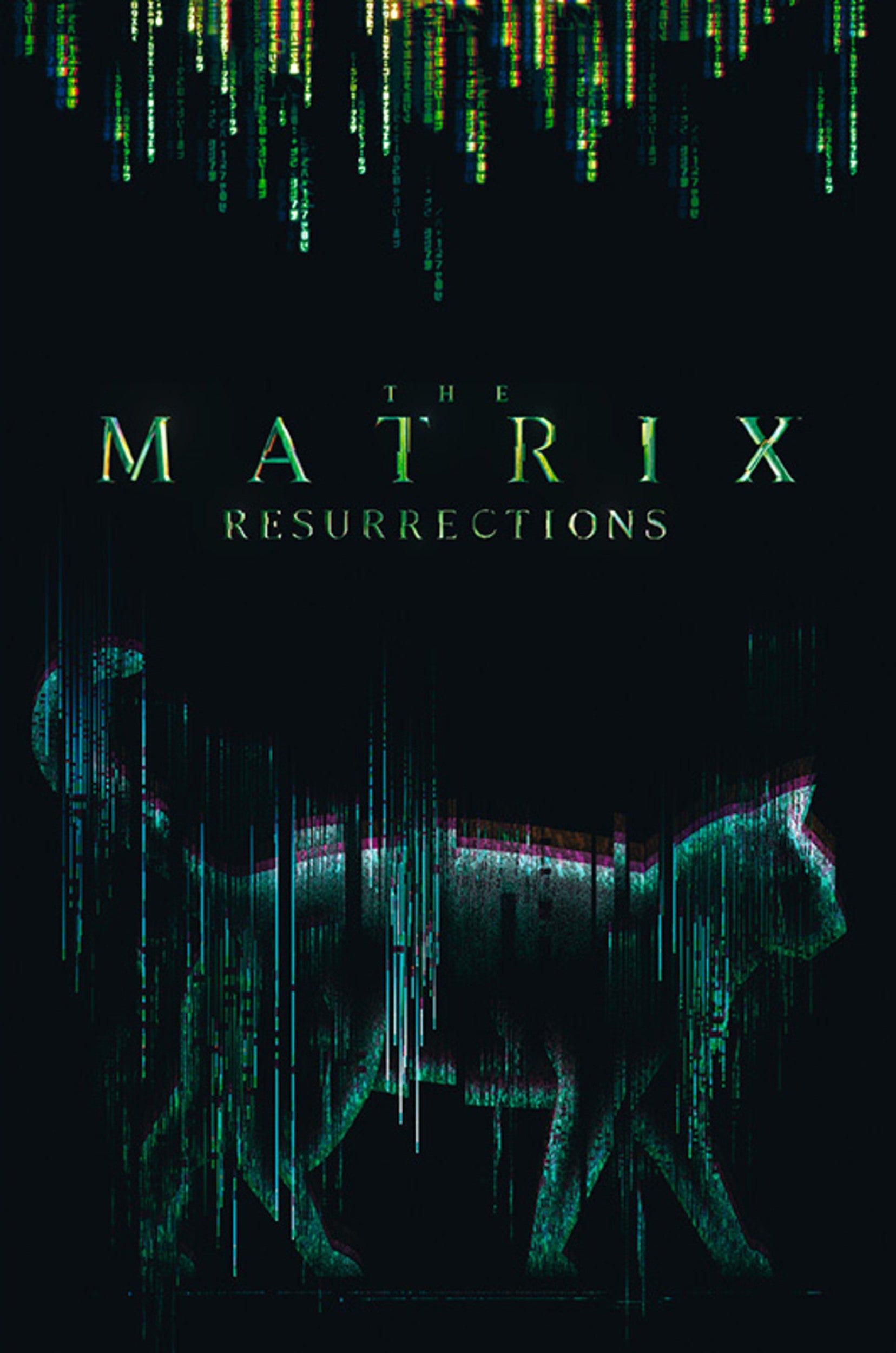 Poster The Matrix Cat 61x91,5cm | Yourdecoration.nl