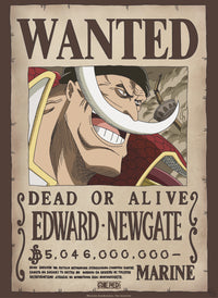 Abystyle Gbydco263 One Piece Wanted Whitebeard Poster 38x52cm | Yourdecoration.nl