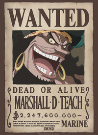 Abystyle Gbydco267 One Piece Wanted Blackbeard Poster 38x52cm | Yourdecoration.nl