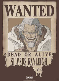 Abystyle Gbydco268 One Piece Wanted Rayleigh Poster 38x52cm | Yourdecoration.nl
