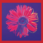 Andy Warhol  Daisy 1982 Kunstdruk 90x90cm | Yourdecoration.nl