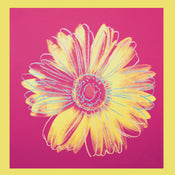 Andy Warhol  Daisy 1982 Kunstdruk 90x90cm | Yourdecoration.nl