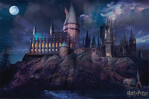 Pyramid Harry Potter Hogwarts Poster 91,5x61cm | Yourdecoration.nl
