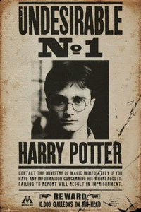 GBeye Harry Potter Undesirable No 1 Poster 61x91,5cm | Yourdecoration.nl