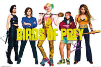GBeye Birds of Prey Group Poster 91,5x61cm | Yourdecoration.nl
