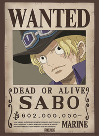 Gbeye Gbydco260 One Piece Wanted Poster 38x52cm | Yourdecoration.nl