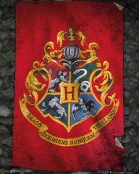 GBeye Harry Potter Hogwarts Flag Poster 40x50cm | Yourdecoration.nl