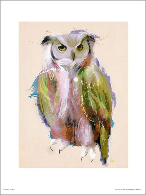 GBeye Owl Paint Kunstdruk | Yourdecoration.nl