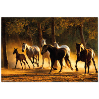 Grupo Erik GPE5532 Andalusian Horses Poster 91,5X61cm | Yourdecoration.nl